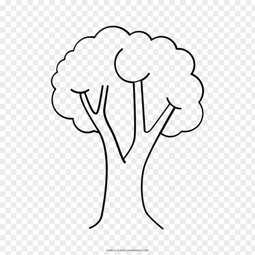 Tree Drawing Coloring Book Child PNG