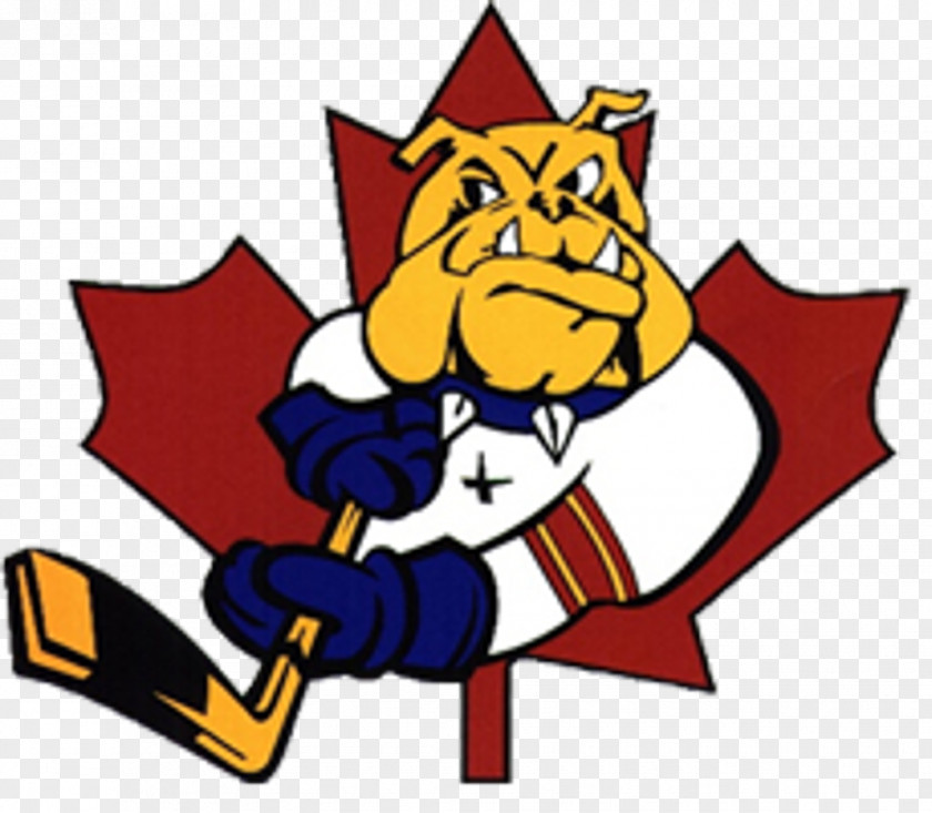 Yale Bulldogs Men's Ice Hockey Bradford Minor Barrie Colts Centerman PNG