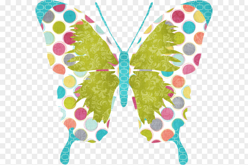 A Butterfly Moth Clip Art PNG