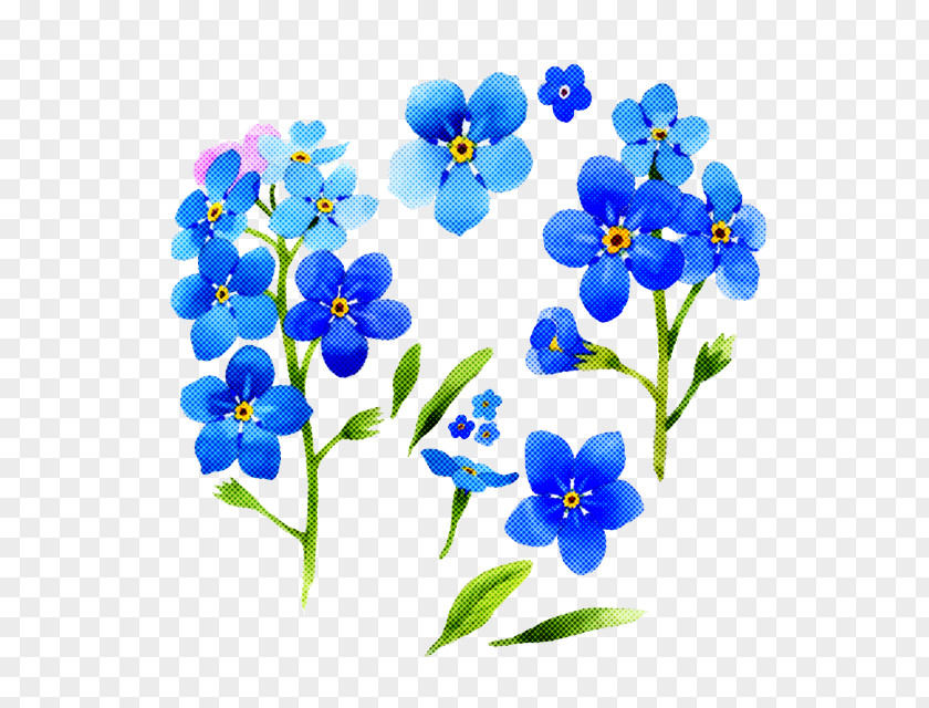 Alpine Forget-me-not Flower Blue Plant PNG