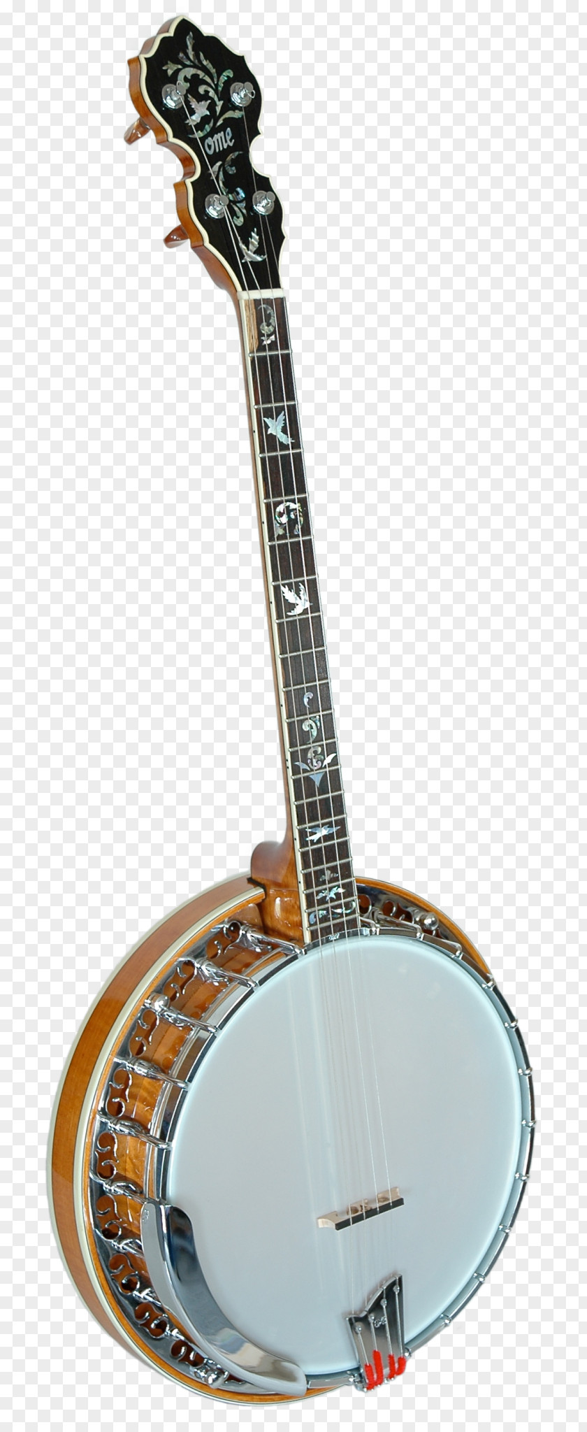 Banjo Guitar Uke Ukulele Acoustic PNG