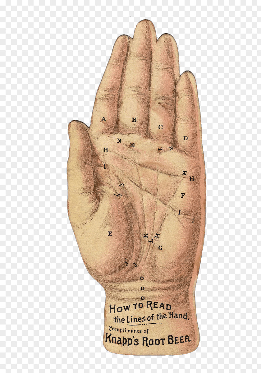 Hand Palmistry Clip Art PNG