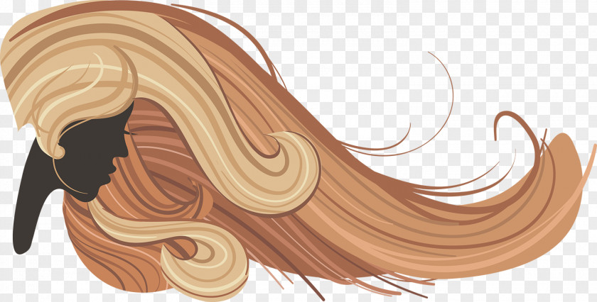 Modern Beauty Salon Cartoon Hand Drawing Vector Hairstyle Parlour Hairdresser Brown Hair PNG