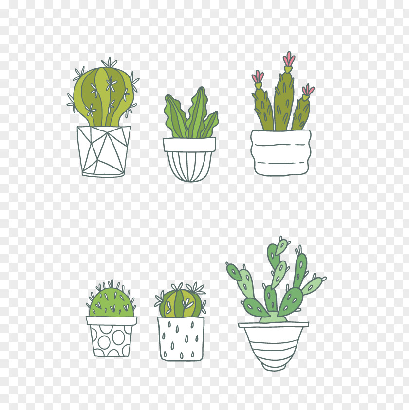 Vector Cactus Collection Cactaceae Succulent Plant Clip Art PNG