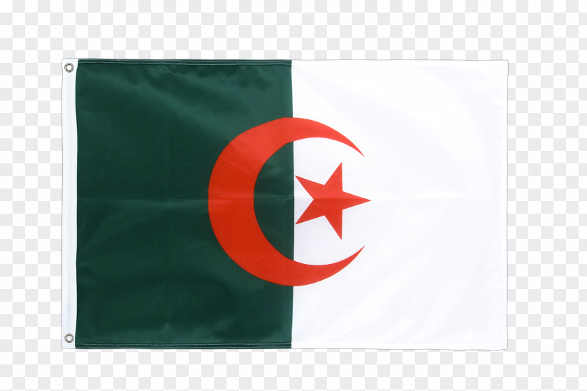 Algeria Flag Of Fahne Fanion PNG