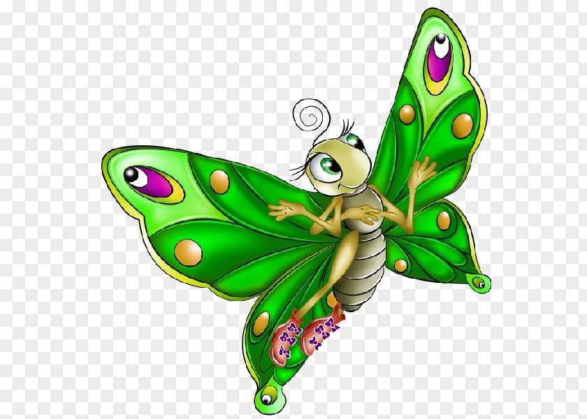 Insect Butterflies & Insects Clip Art Cartoon Image PNG