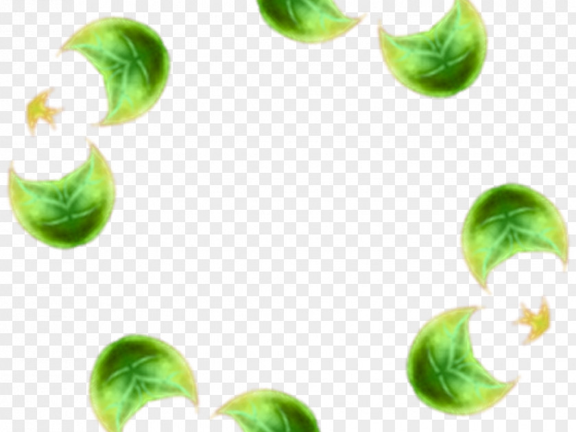Kaleidoscope Leaf Vegetable Close-up Fruit PNG