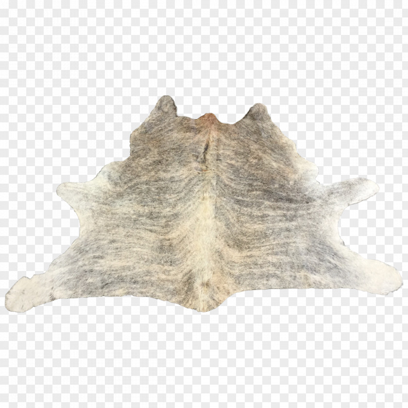 Marcian Fur PNG