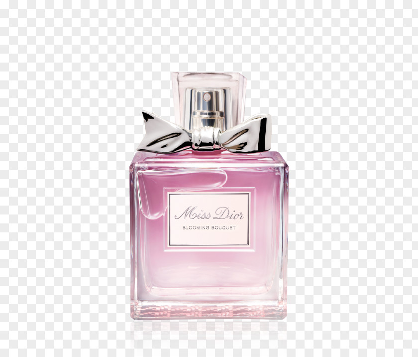 Perfume Christian Dior SE Eau De Toilette Parfums Homme PNG