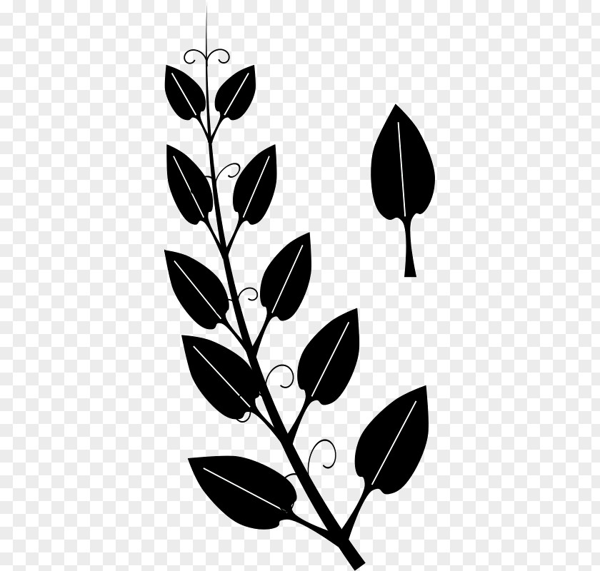 Silhouettes Of Leaves Vine Tendril Leaf Ivy Clip Art PNG