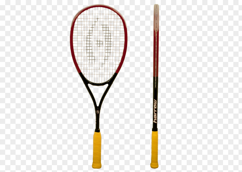 Squash Racket Sporting Goods Tecnifibre PNG