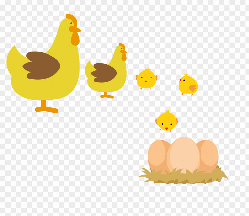 Vector Cute Yellow Hen And Chick Amarela Rooster PNG