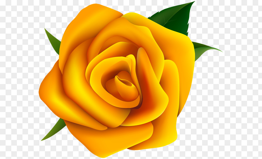 Yellow Rose Clip Art PNG