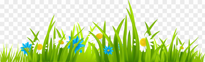 Animated Grass Cliparts Free Content Download Website Clip Art PNG