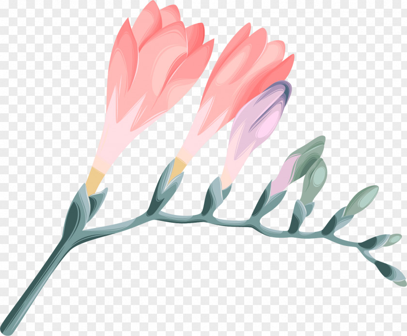 Flowers Cartoon Hand Painted Design Petal Vector Graphics Download PNG