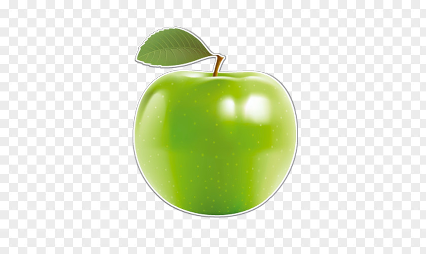 Green Apple Slice Red Sticker Food PNG