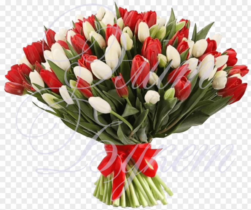 Tulip Flower Bouquet Red White PNG