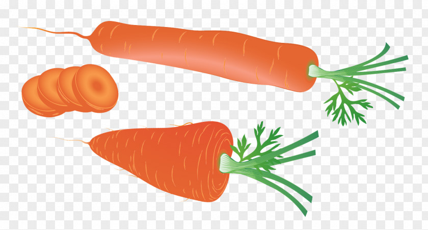 Carrot Cake Clip Art Dressed Herring PNG