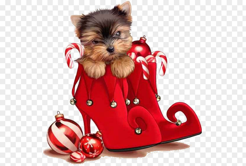 Christmas Yorkshire Terrier Card Puppy Ornament PNG