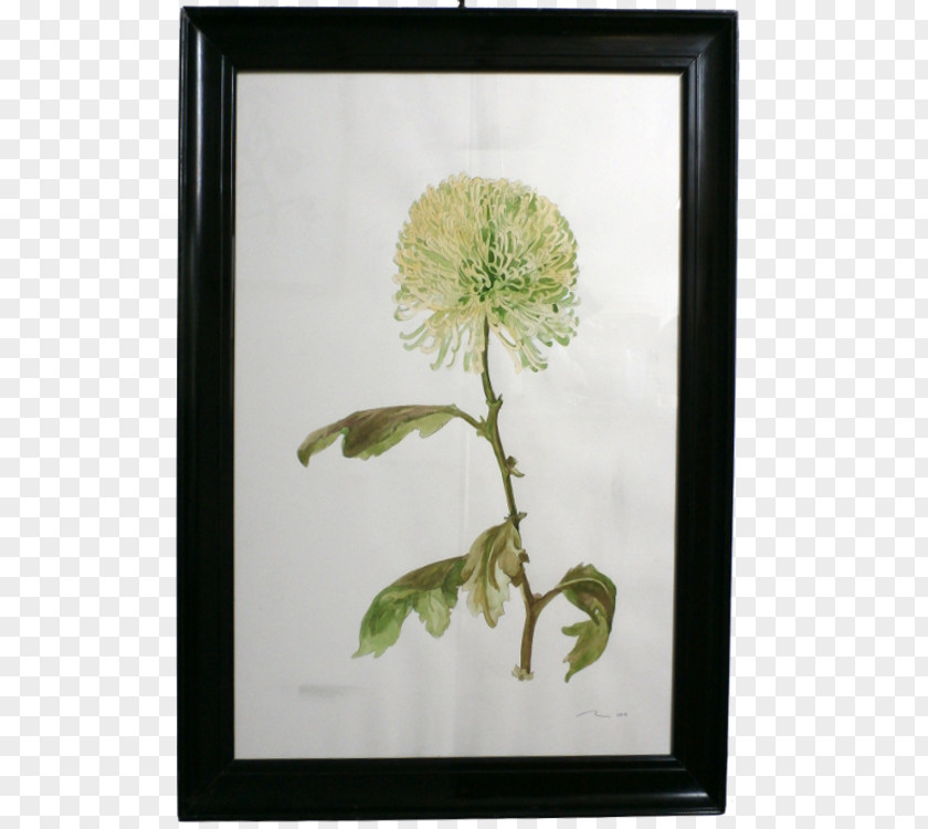 Chrysanthemum Flower Floral Design Art Watercolor Painting Plant PNG