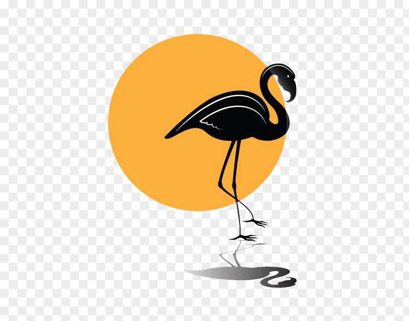 Crane Flamingo Bird Beak PNG