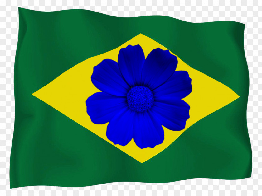 Stylized Flag Of Brazil Bible PNG