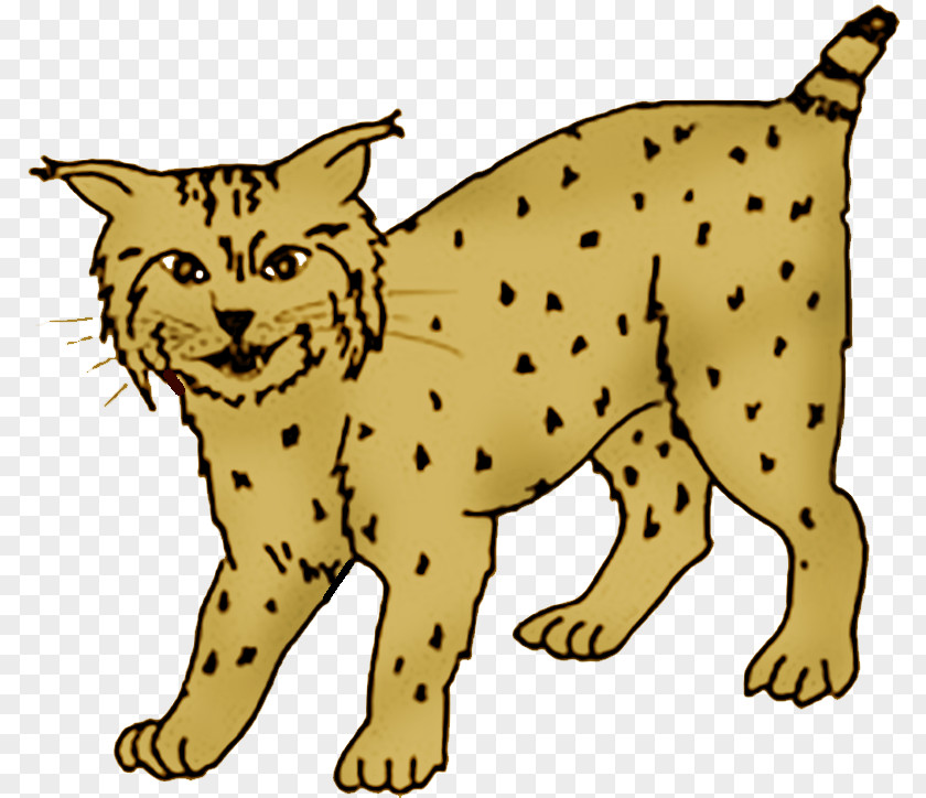 Cat Whiskers Wildcat Cheetah Dog PNG