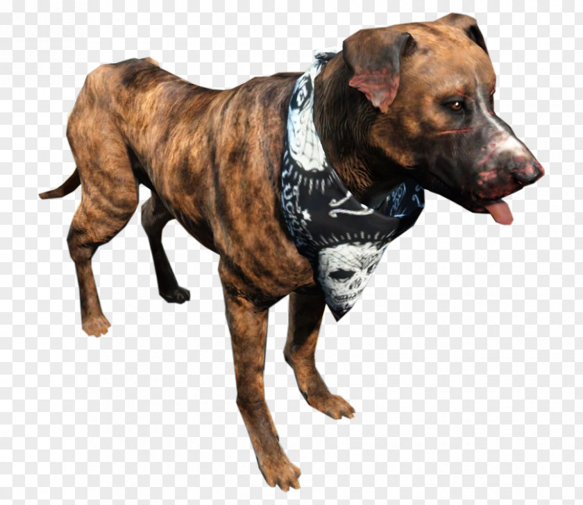 Fall Out 4 American Pit Bull Terrier Fallout 4: Far Harbor Fallout: New Vegas PNG