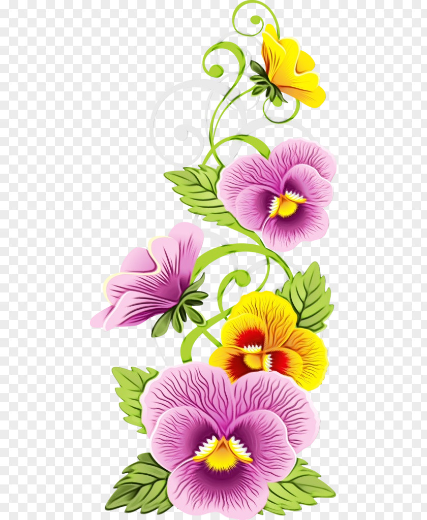 Flower Petal Wild Pansy Plant Violet PNG