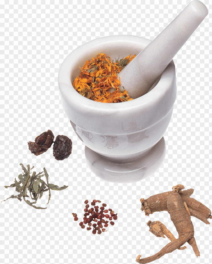 Herbs Therapy Alternative Health Services Homeopathy Traditional Chinese Medicine Pharmaceutical Drug PNG