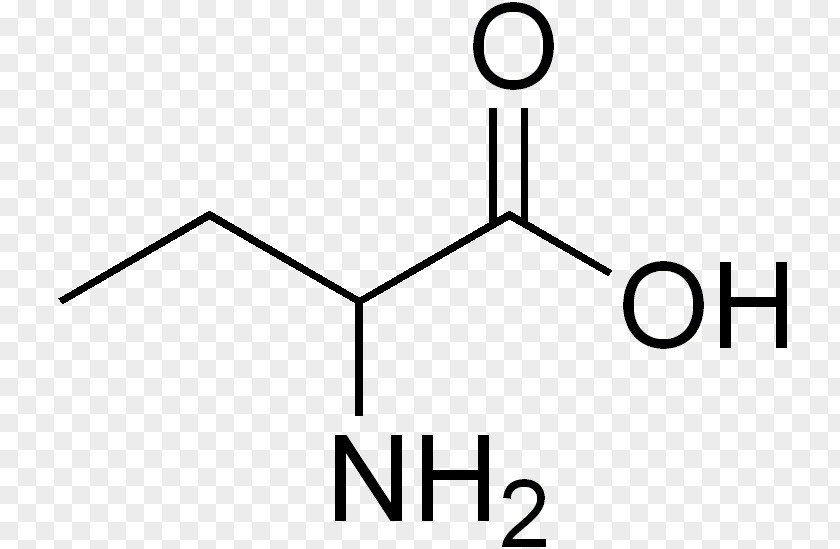 Number 5 Amino Acid Cyclohexanecarboxylic Alpha-Aminobutyric PNG