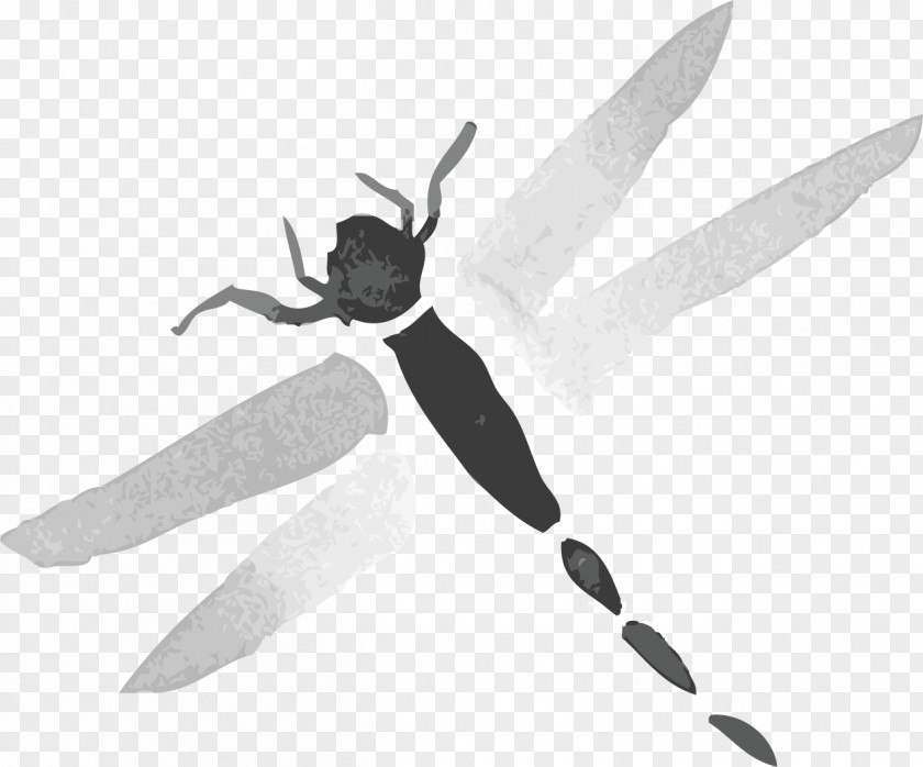Vector Hand-painted Dragonfly Ink Euclidean PNG