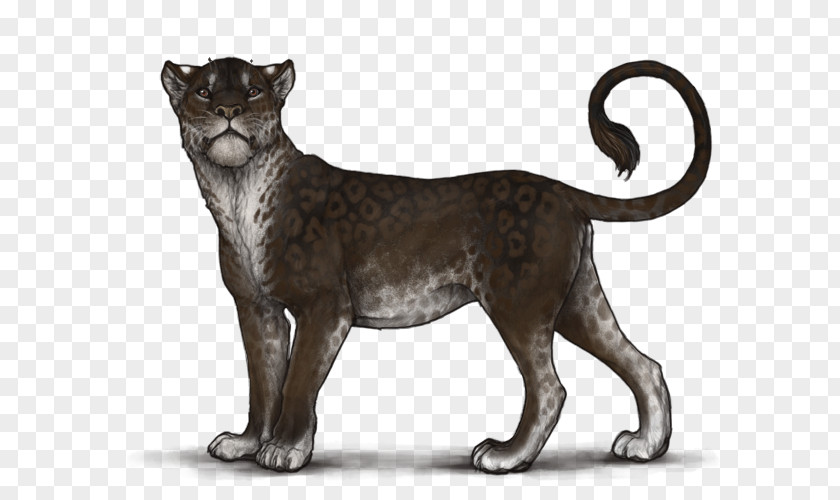 Cat Big Lion Terrestrial Animal PNG