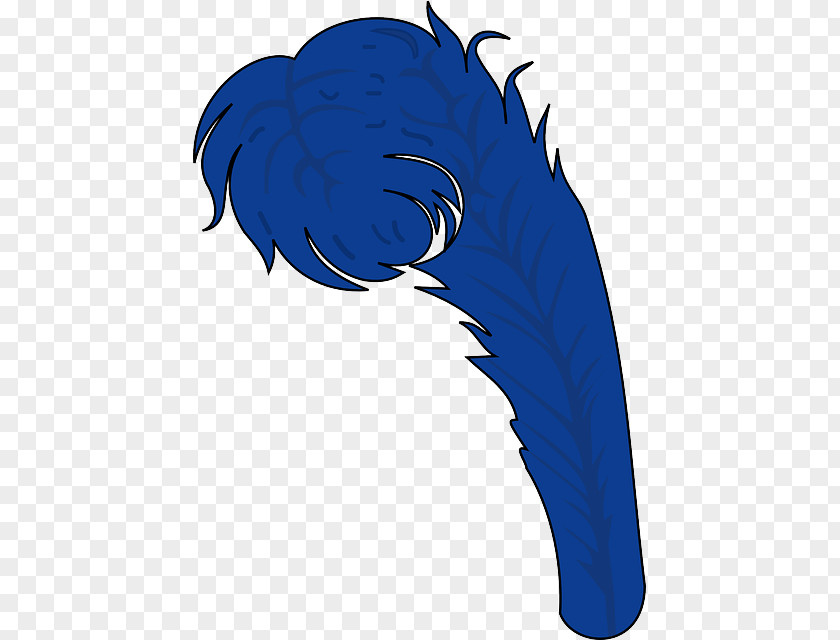 Feather Beak Bird Goose Blue PNG