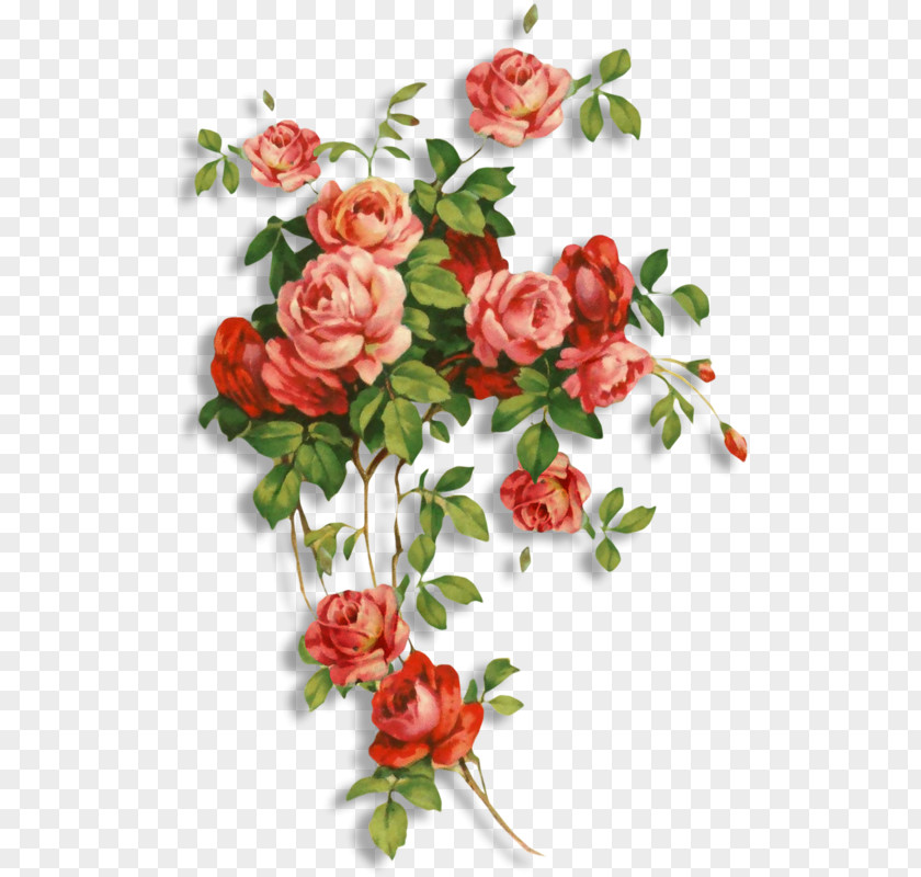 Flower Files Desktop Wallpaper Clip Art Image Painting PNG