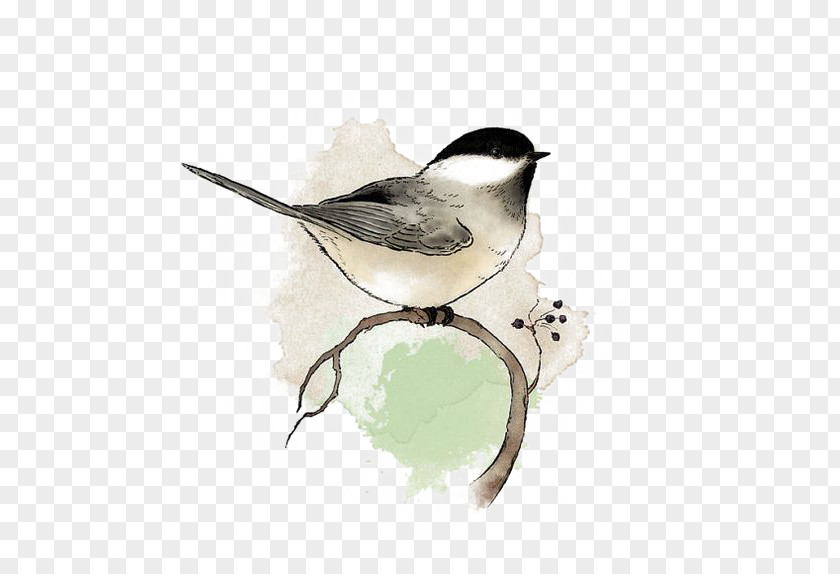 Ink Birds Bird Watercolor Painting Chickadee Drawing PNG