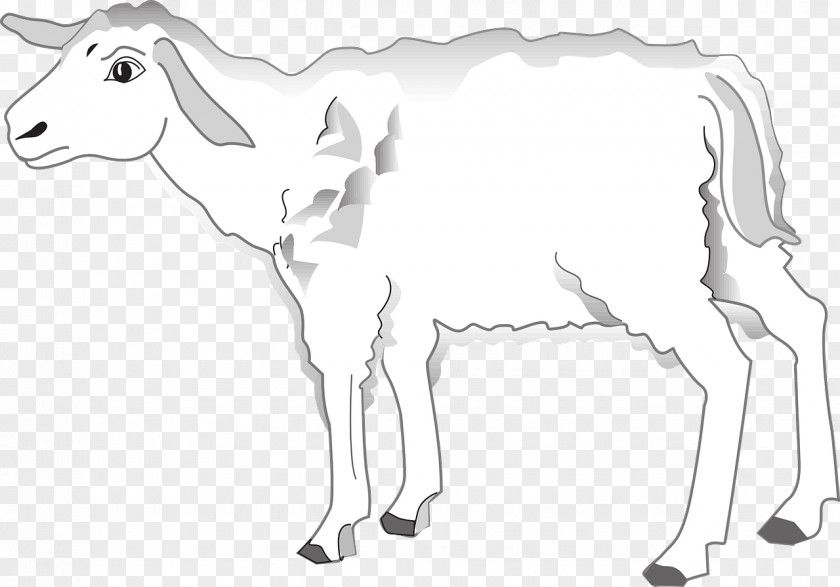 Lamb Sheep Cattle Goat PNG