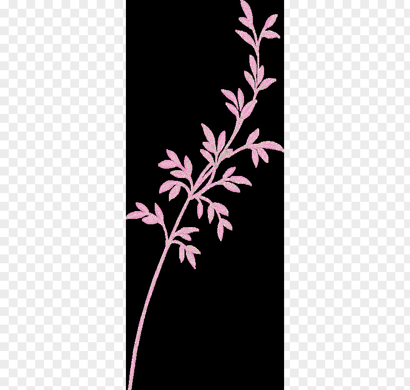 Leaf Twig Pink M Plant Stem Petal PNG