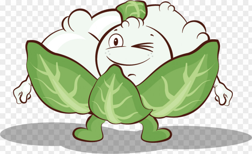 Vast Clipart Vegetable Cauliflower Vitamin Food Clip Art PNG