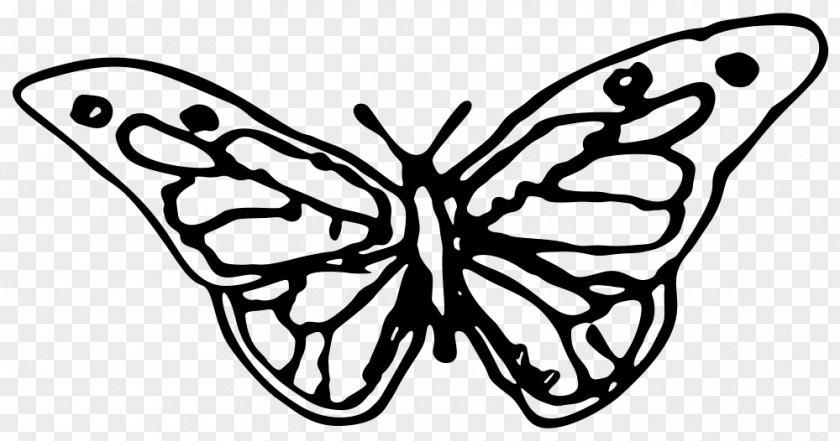 Butterflies Drawing Butterfly Clip Art Vector Graphics PNG