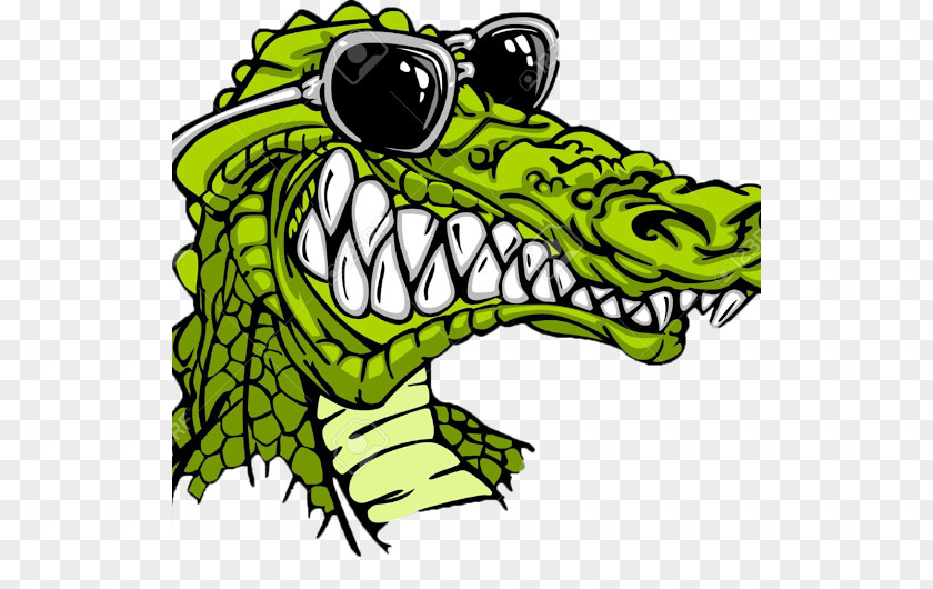 Crocodile American Alligator Cartoon PNG