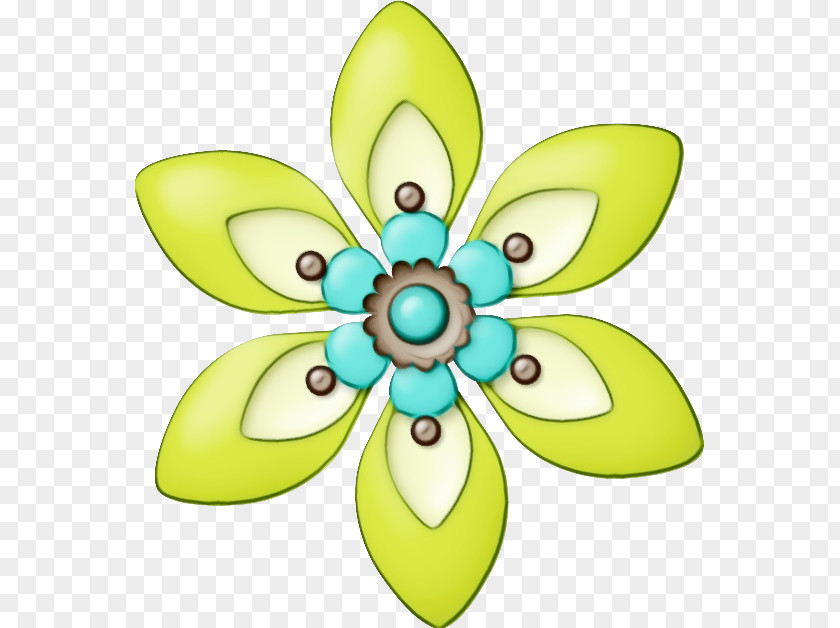 Flower Plant Petal Yellow Symmetry Leaf Plants PNG