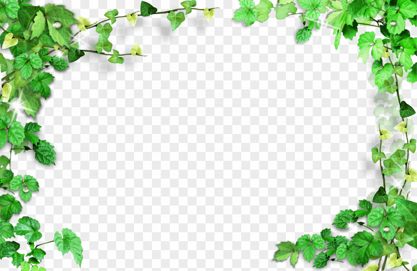 Green Leaves Frame,Plant Frame PNG