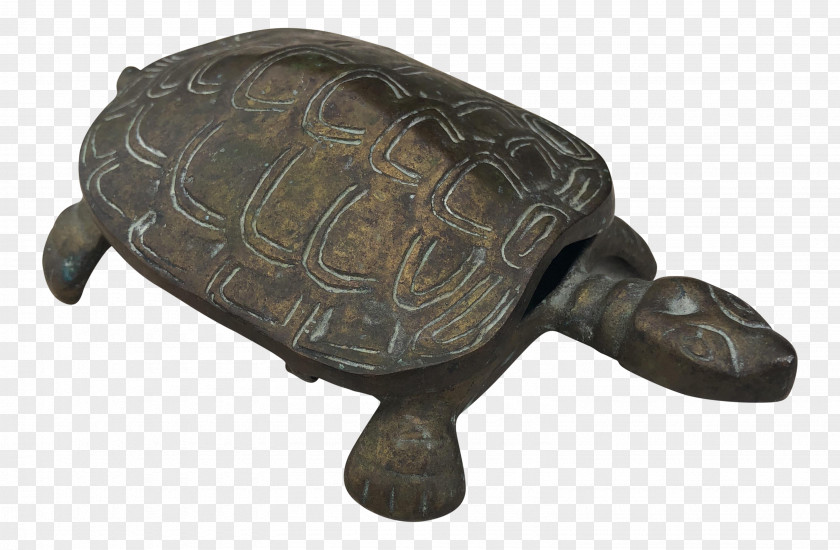 Ornate Box Turtle In Mulch Tortoise Turtles Metal Chairish PNG