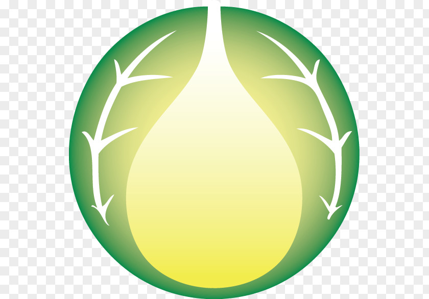 The Leaf Circle Oval Sphere Green PNG
