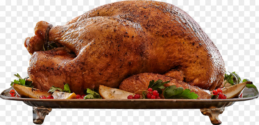 Chicken And Turkey Meat Thanksgiving Dinner Cooking PNG