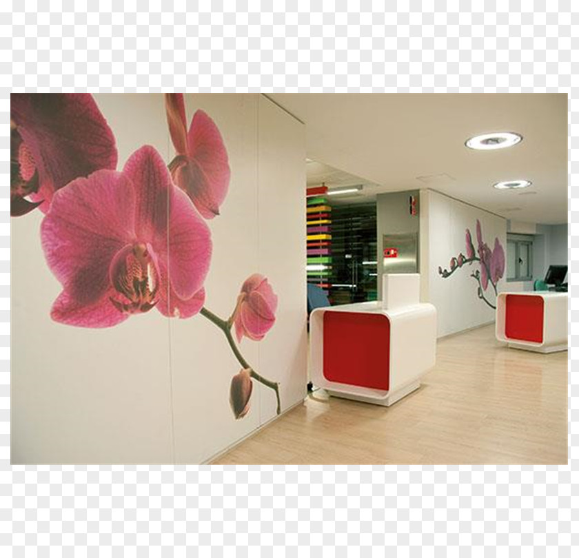 Design Interior Services Ceiling Furniture PNG