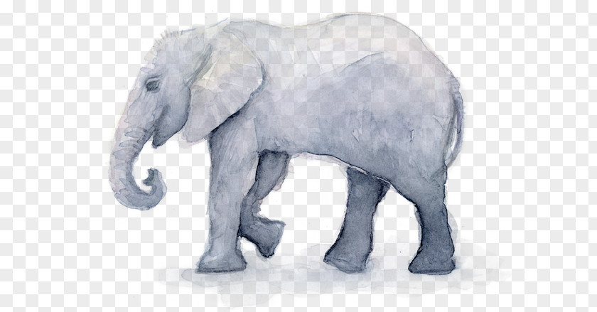 Drawing Wildlife Watercolor Animal PNG