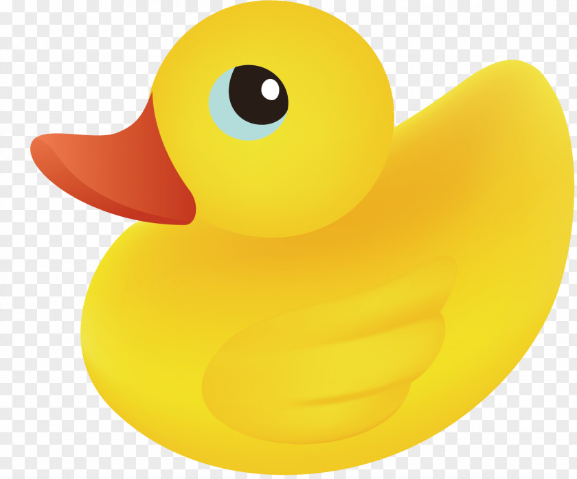 Ducklings Vector Material Duck PNG