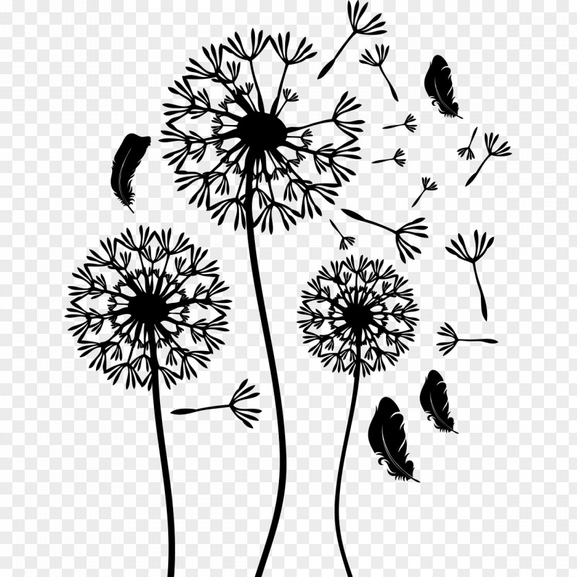 Flower Pissenlit Sticker Black And White Floral Design PNG